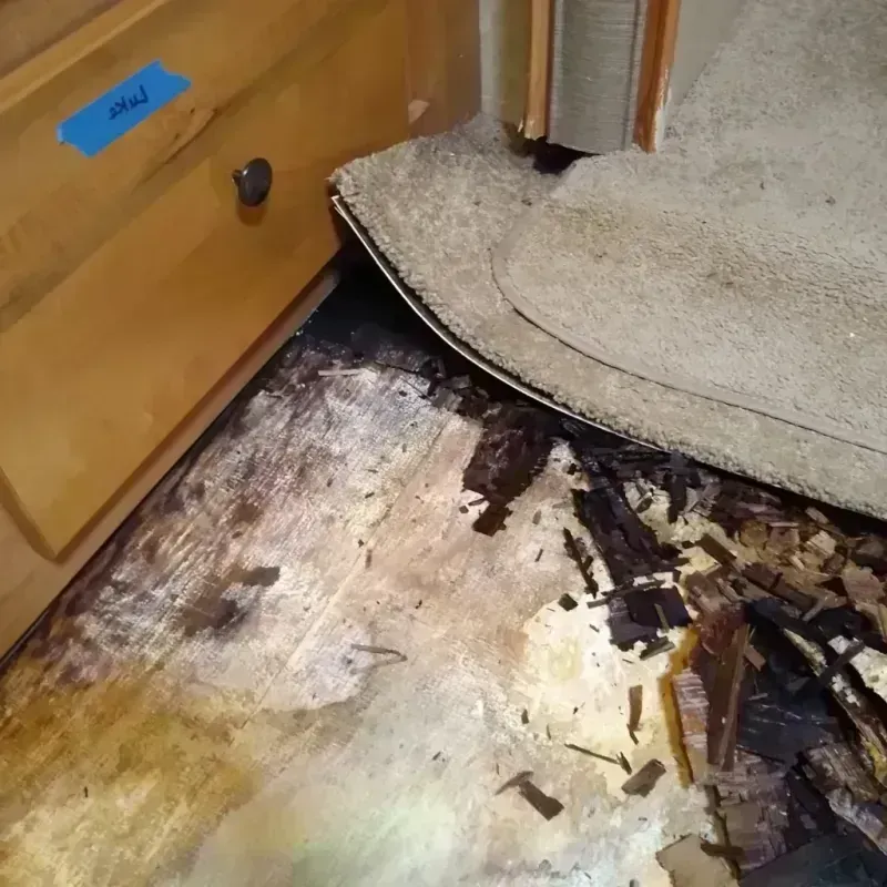 Best Wood Floor Water Damage Service in Pennsport, PA